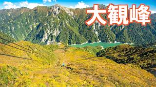 [Moving to Nagano] The Autumn Colors at Tateyama Kurobe Alpine Route Are Stunning!! | Autumn Foli... screenshot 4