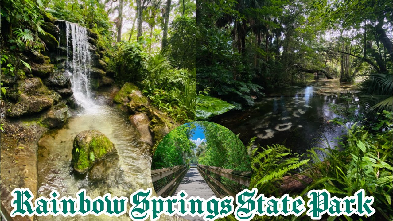 Increíble tour por Rainbow springs state park fl ,naturaleza: cascadas, ríos y jardines exuberantes