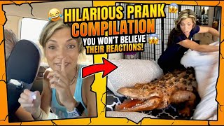 Hilarious Prank Compilation