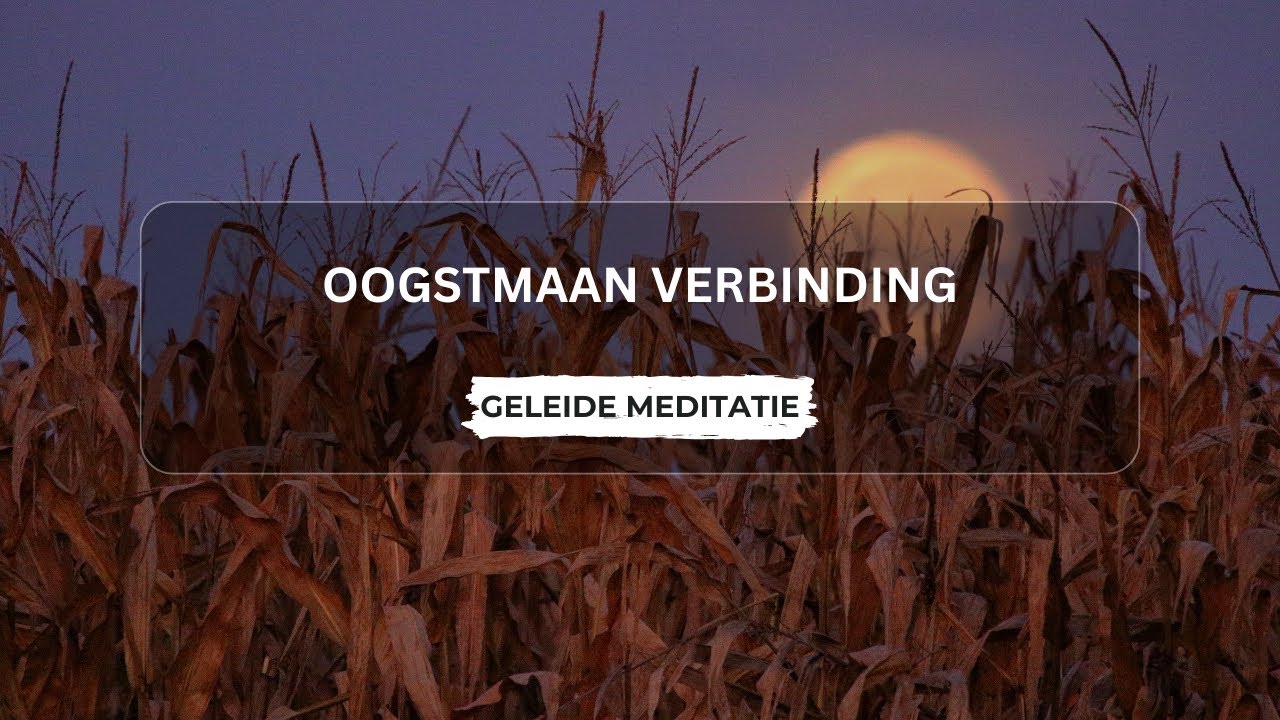 Oogstmaan Meditatie: Dankbaarheid en Overvloed | Geleide Meditatie