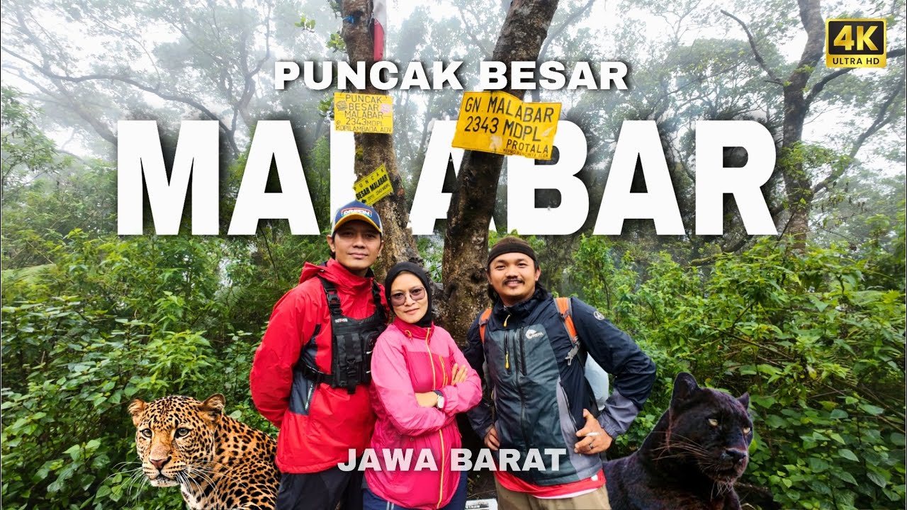 KEBERADAAN KUCING BESAR  ‼️ PENDAKIAN PUNCAK BESAR MALABAR