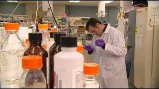 Moving from petroleum to plants to energize our world