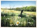 Watercolor Meadow Painting Tutorial