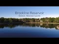 Brookline Reservoir Boston MA Sunrise Drone Video