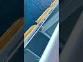 Guy jumps off largest cruise ship in the world: symphony of the seas (aftermath)