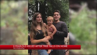 2-year-old killed after tree falls on home in Sonoma County