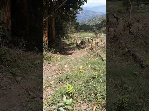 Una canción colombiana que puede ser un himno en cualquier país latinoamericano. #colombia