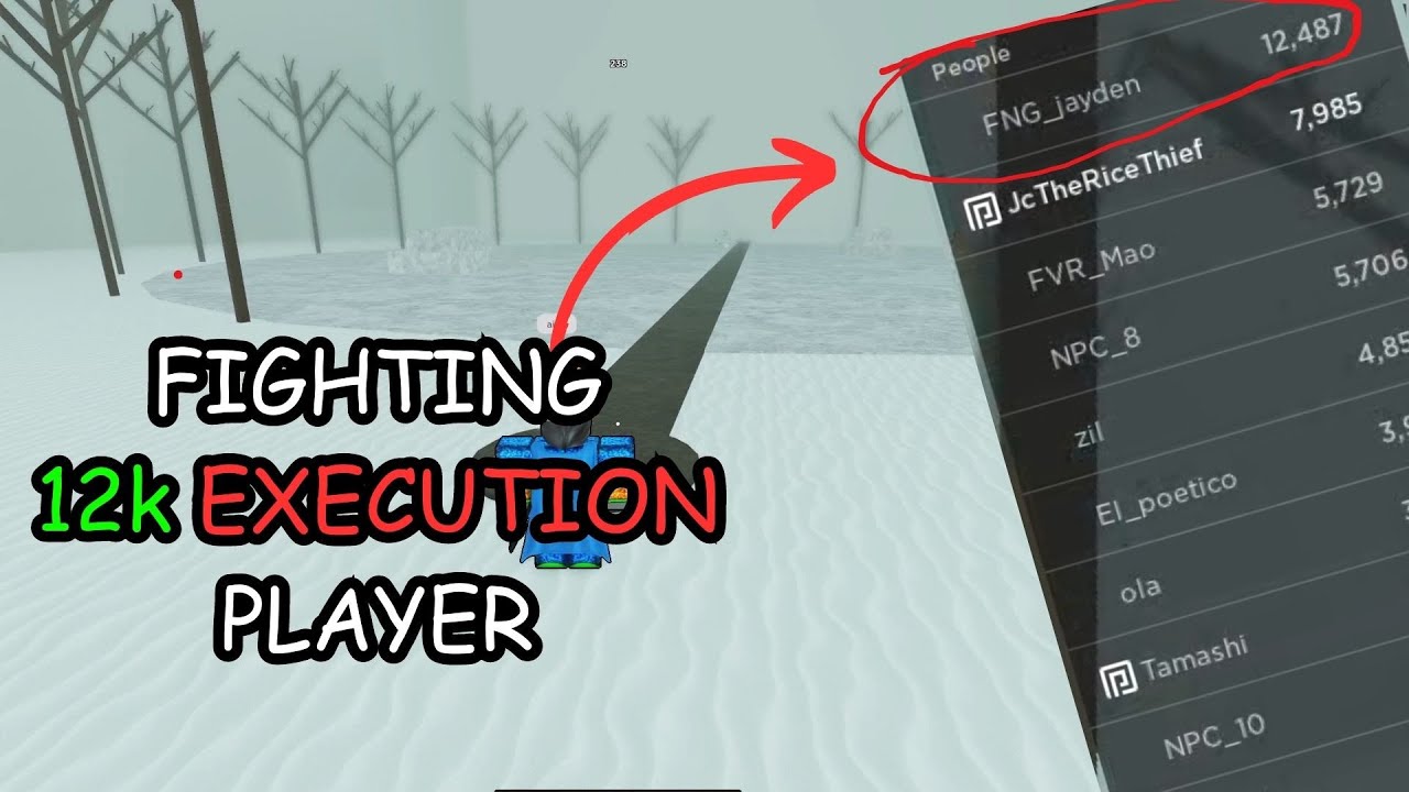 FIGHTING 12K EXECUTION PLAYER IN ROGUE DEMON