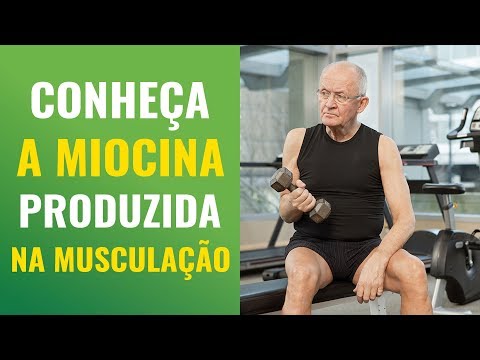 Conheça a poderosa enzima da saúde produzida pela musculação: a MIOCINA