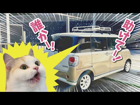 車内に猫閉じ込め事件が発生しました【関西弁でしゃべる猫】