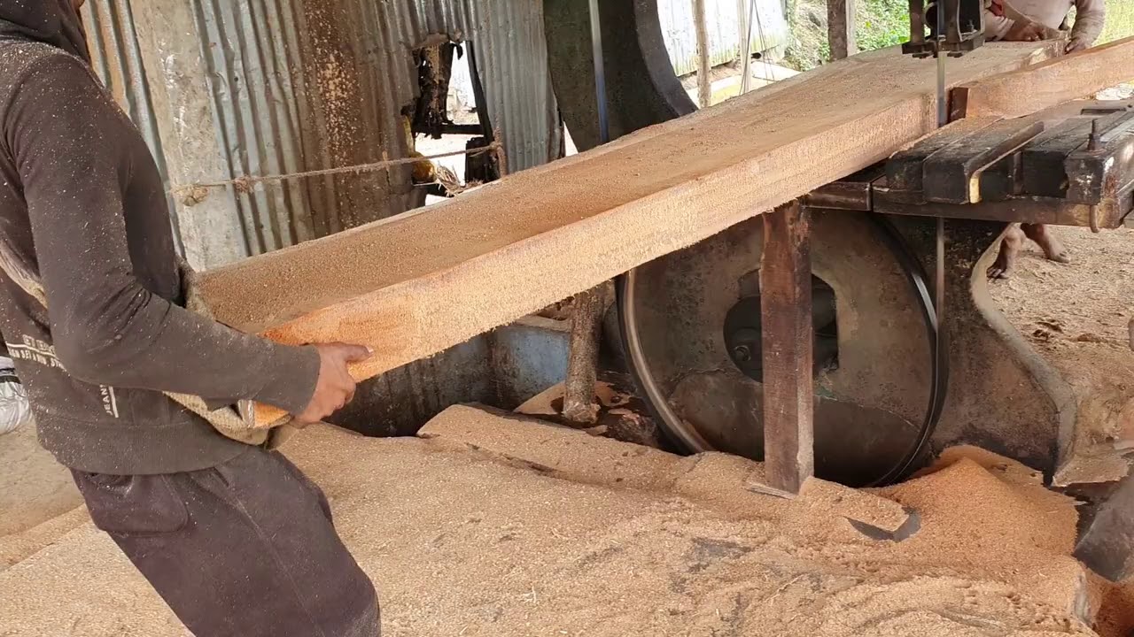 Good Quality Wood with 4 Skilled Craftsmen at Sawmill Machine/Wood Cutting Good Quality  Wood Mill
