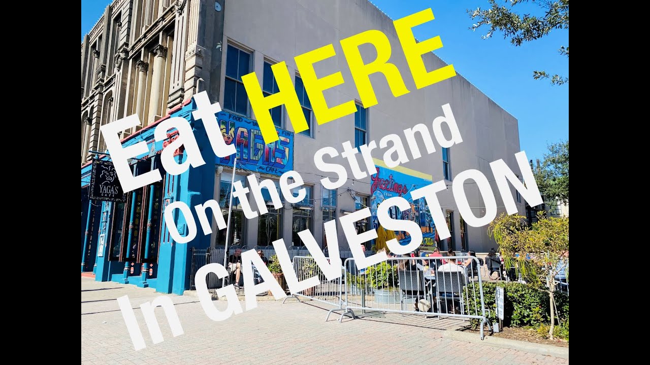 The Strand Galveston, TX Review Dog friendly Restaurant YouTube