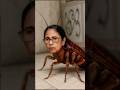 Cockroach Janata Partyতে কি যোগ দিচ্ছেন Mamata Banerjee?
