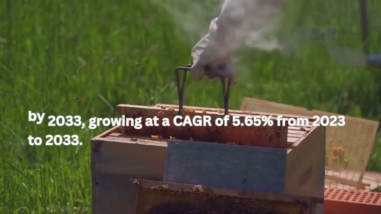 Honeycomb Optical Breadboards Market: Trends & Innovations | Spherical Insights