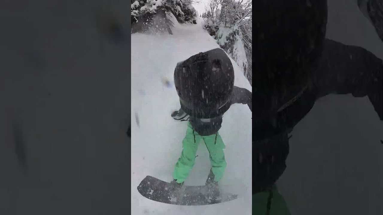 should have pointed it 