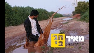 מאיר חג'בי - מה לך נפשי
