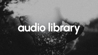 DAILY No Copyright For You – Early Bird by Jay Someday 🎵