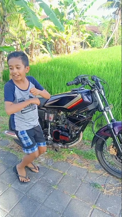 review rx king kobra style jambret
