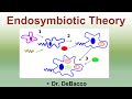Endosymbiotic Theory: Origins of Eukaryotic Cells and Organelles