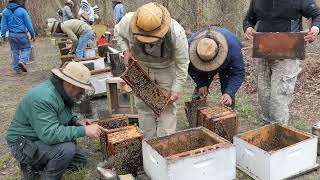 A Visit to Wilbanks Apiaries: Learn about Betterbee Package Bees