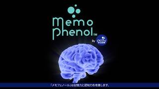 「メモフェノール」：認知力改善のメカニズム (Memophenol Mechanism of action onto cognitive improvement)