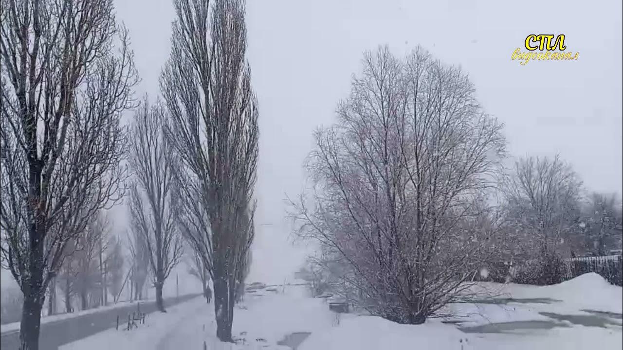 снег на ладонях снег айвазов. сегодня снег в миассе фото. зимняя метель. зима возвращается. падал снег артур руденко.