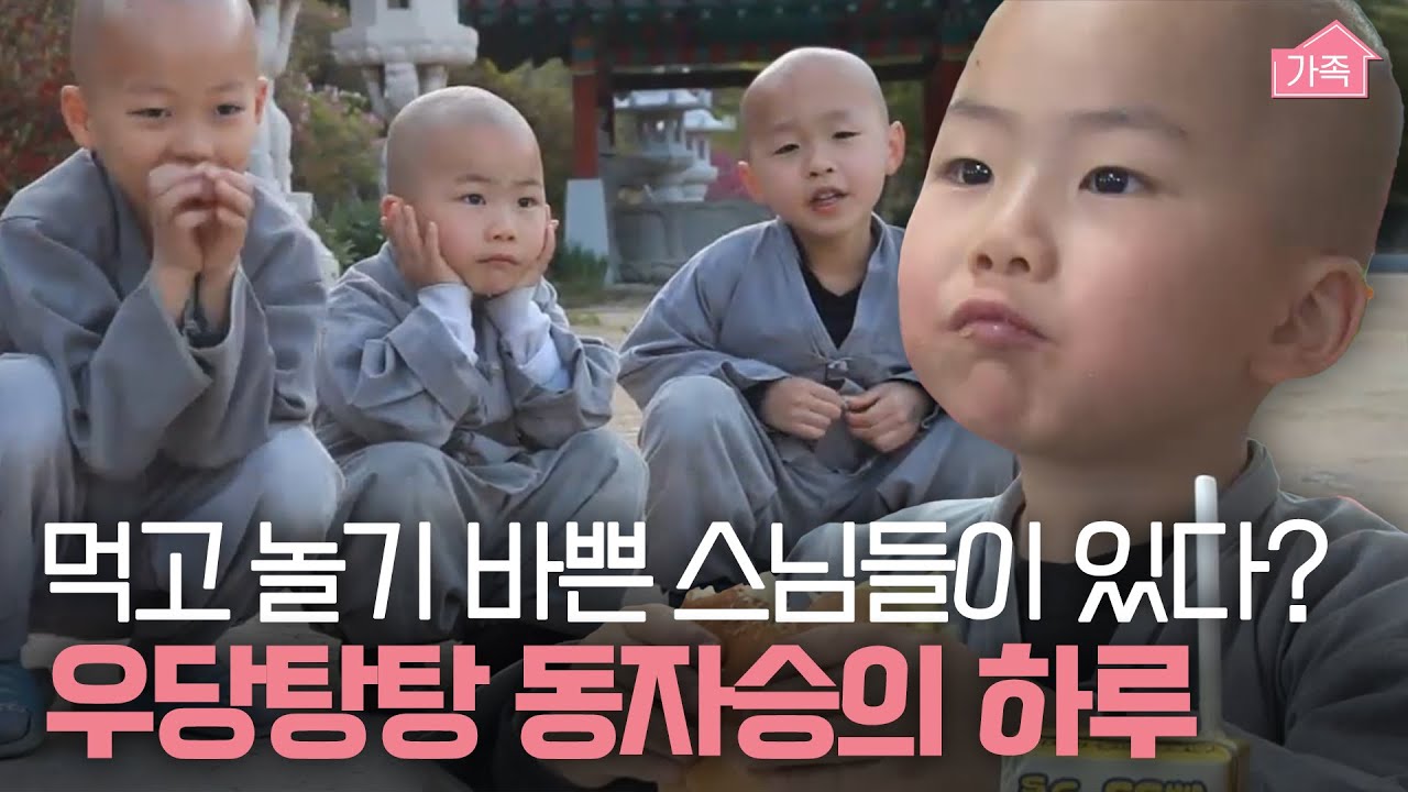 (40분) 천방지축 동자승들 덕분에 한시도 조용할 틈 없는 무심사의 하루🤗｜휴먼다큐 당신의 이야기｜JTBC 120507 방송