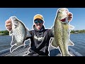 Fishing Crappie & Bass in Same Spawning Areas