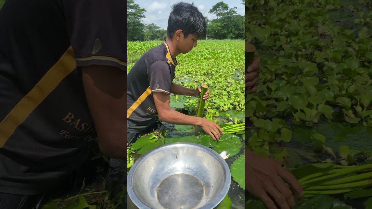 bamboo fishing technique 