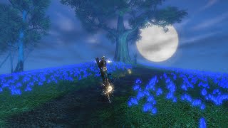 Brightwood Tower Quest [Fable II] Part 23