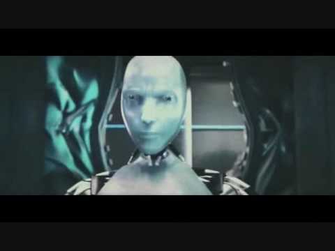 Kung Fu Robots