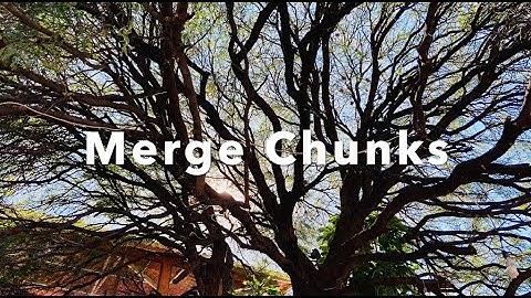 Metashape Merge Chunks