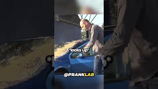 Giant Pigeon Prank 🤣💀