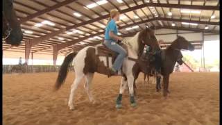 2015 Horsemanship Camp