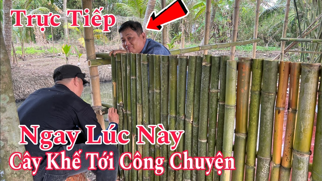 C.Ăng Đét| Ngay Lúc Này Cây Khế Tới Công Chuyện