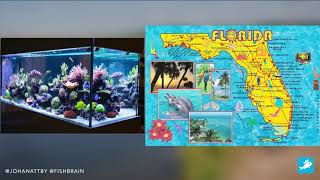 Can Crowdsourcing of Data Make the World a Better Place?