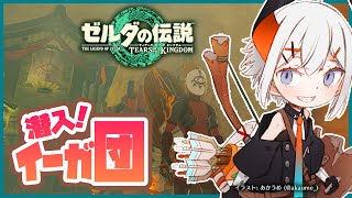 【ゼルダの伝説 ティアーズ オブ ザ キングダム】イーガ団潜入したリ、いろんな装備が欲しイ！！【【にじさんじ/レヴィ・エリファ】昼活#73