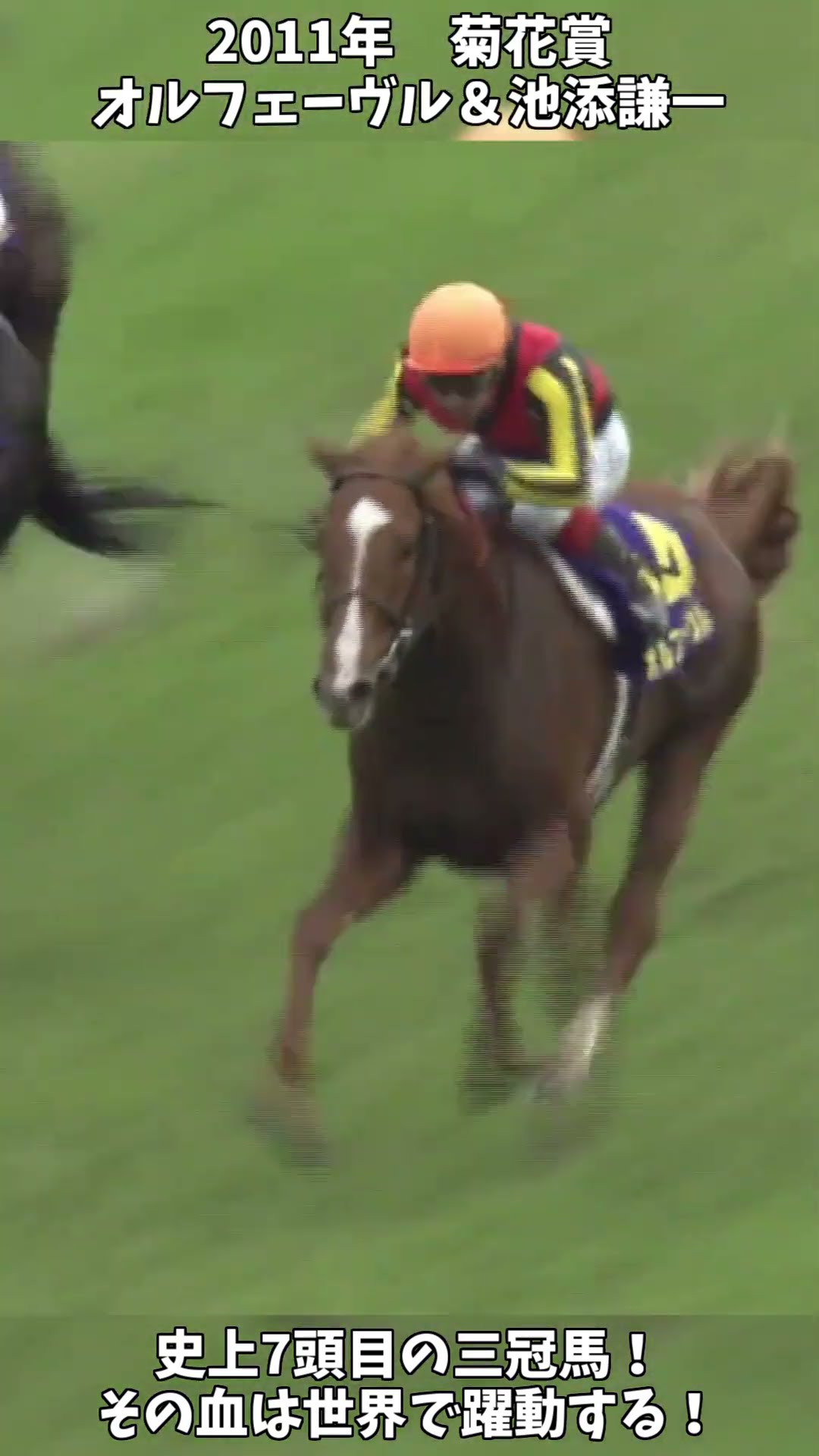 競馬】shortで見る三冠の瞬間『オルフェーヴル』世界で躍動する