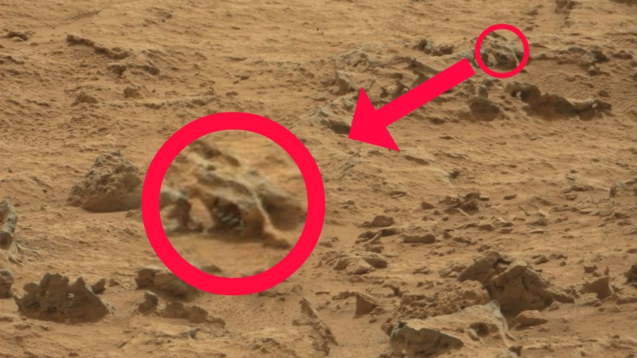 Perseverance Rover & Curiosity captured the strange image on Mars's surface and Latest image