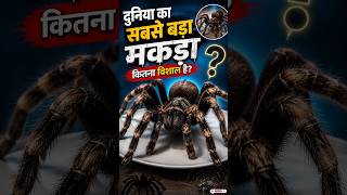 😱 दुनिया का सबसे बड़ा मकड़ा कितना विशाल है?#shorts #facts #BiggestSpider#AmazingFacts#HindiFacts