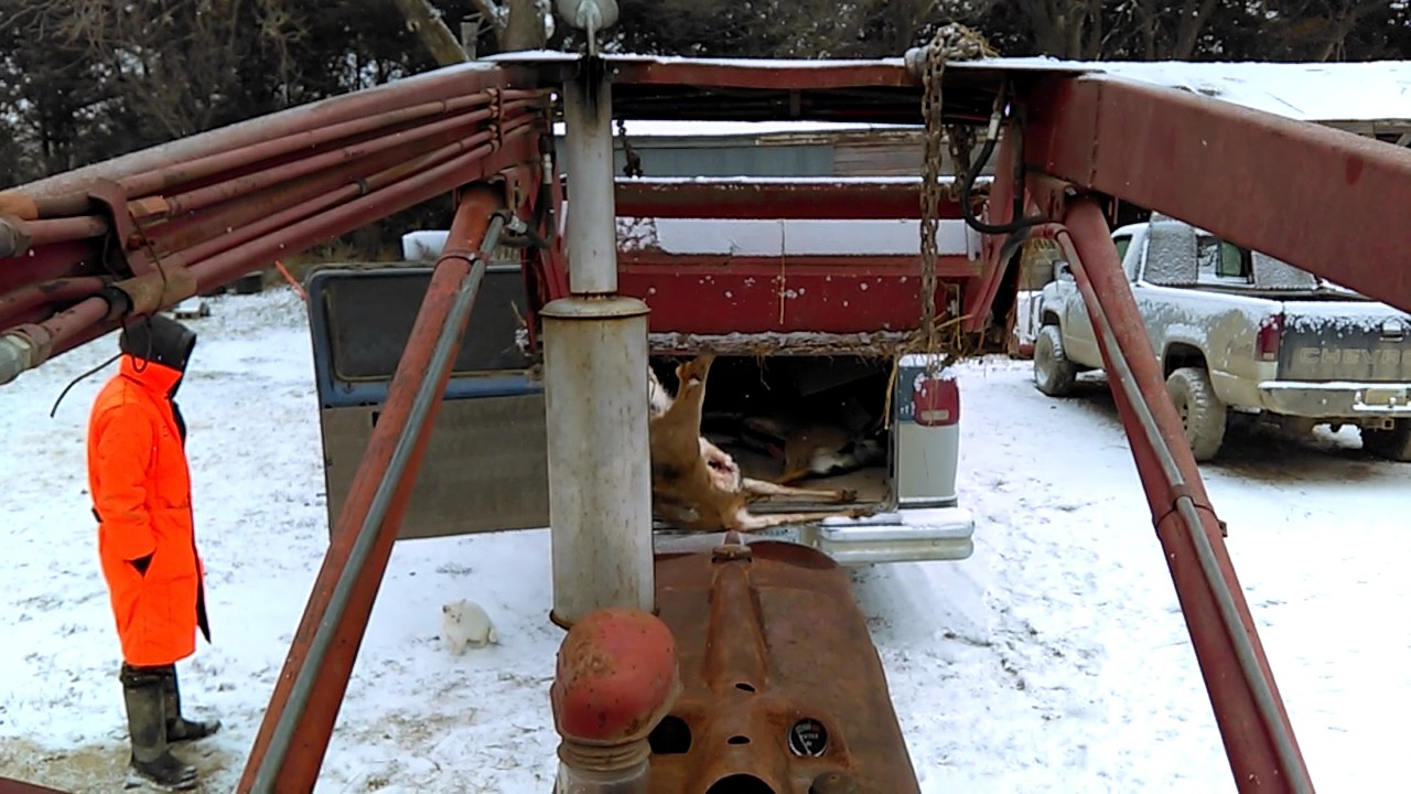 Skinning deer with Farmall H YouTube