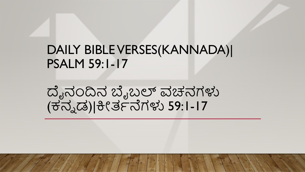 VVLGlobal-Ebullient Services