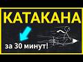 ЯПОНСКАЯ АЗБУКА КАТАКАНА ЗА 30 МИНУТ! | Японский язык для начинающих