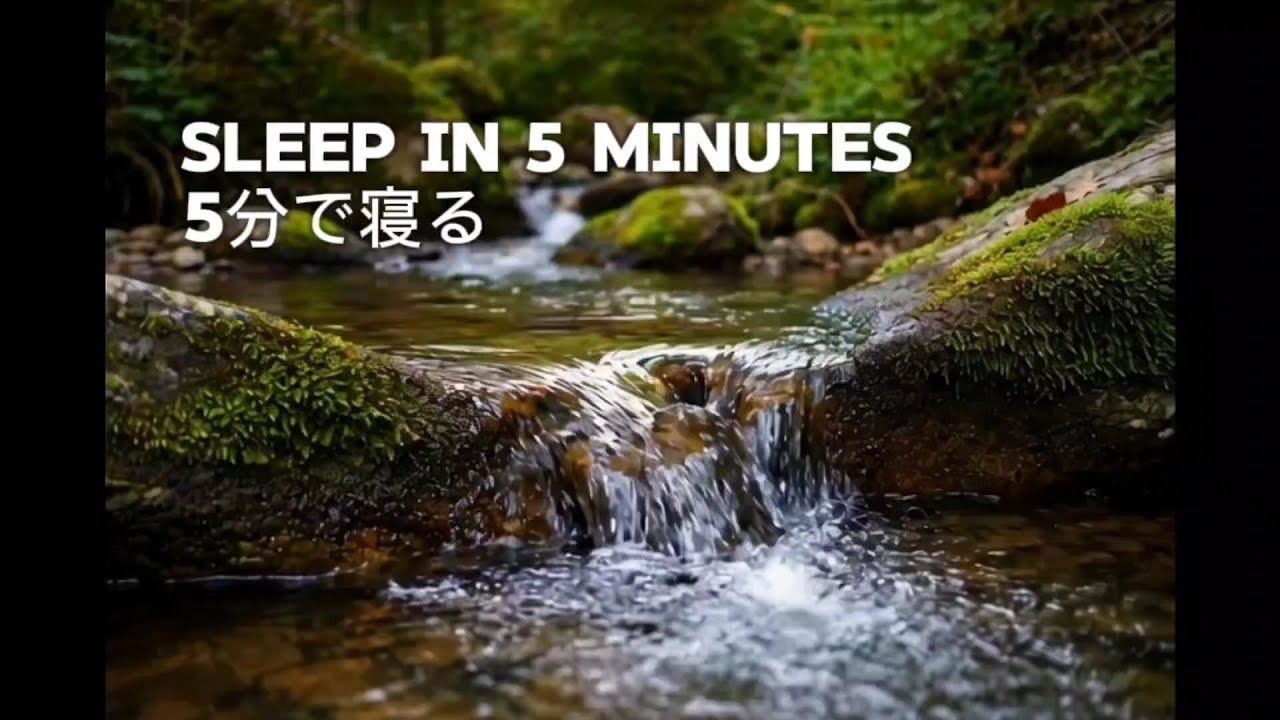 Deep River Water Sounds for Sleep 🌊 a Hour of Natural ASMR for Deep Relaxation