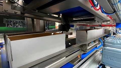 CPS Case Packing Systems - CP 201