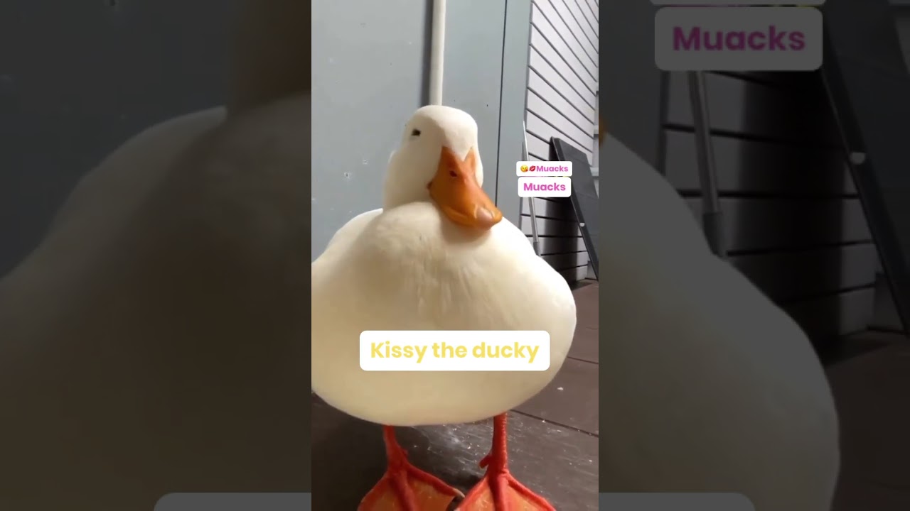 Ain’t she cute? (give it some love!!) 