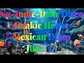 Nu-Indie, Italo &amp; Mexican Disco MixX - June &#39;23. (3 Hrs Non Stop Music)