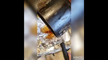 Dispose of Bacon Grease without making mess