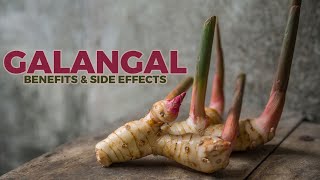 Galangal Benefits And Side Effects A Detailed Look