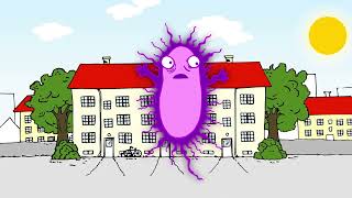 Legionella control in hot water systems